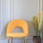 Elvezia Boutique *